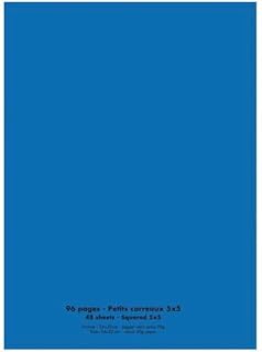 Cahier CONQUERANT 24x32 - 96 pages petits carreaux piqûre 90g Couverture polypropylène bleu pour école