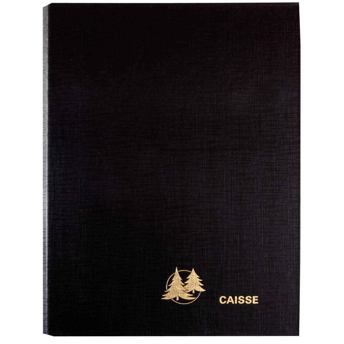 Classeur Exacompta pour recharge perpétuel de caisse - 16x24cm - 2 anneaux - Usage professionnel
