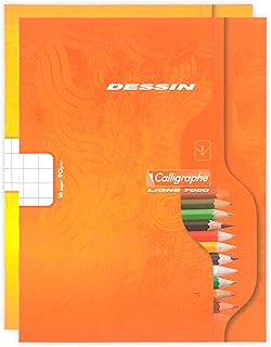 Cahier de Dessin Calligraphe 552C Clairefontaine - 17x22 cm 16 Pages Quadrillées 10/10 Papier Blanc 90 g