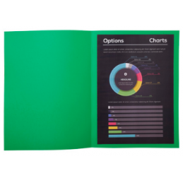 Sous-chemises EXACOMPTA Rock's - Paquet de 100, carte 80 g, coloris vert sapin, pour classement bureau