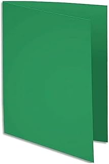 Sous-chemises EXACOMPTA Rock's - Paquet de 100, carte 80 g, coloris vert sapin, pour classement bureau