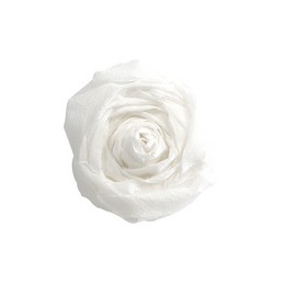 Papier crépon Clairefontaine 500 mm x 2,5 m - blanc pour loisirs créatifs et décoration