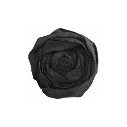 Papier crépon Clairefontaine 500 mm x 2.5 m - Noir pour loisirs créatifs et décoration
