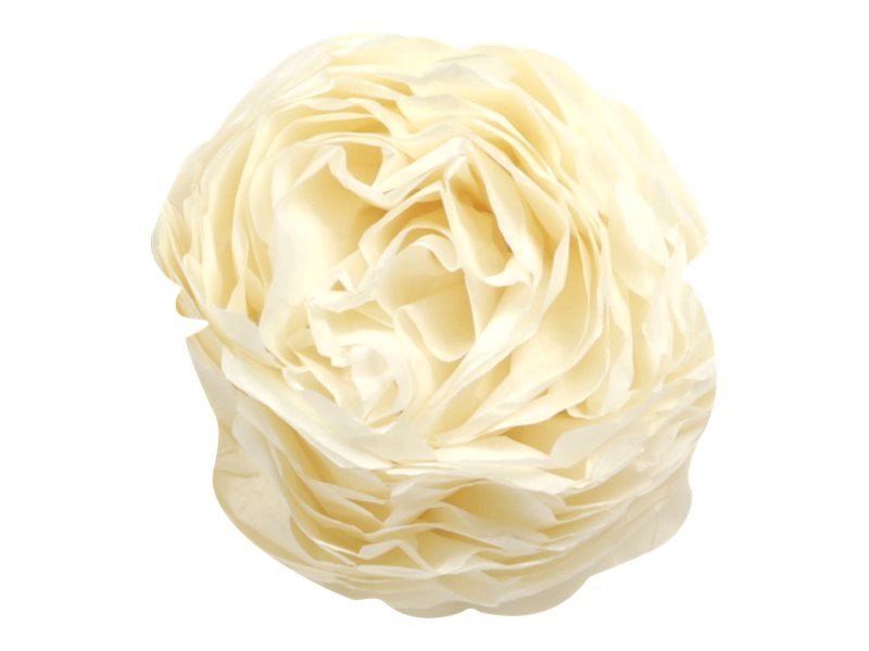 Papier de soie Clairefontaine 500 x 750 mm Ivoire - 8 Feuilles de 18g pour emballage et loisirs créatifs