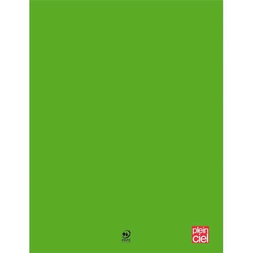 Cahier piqûre PLEIN CIEL 21x29,7cm 96 pages grands carreaux Seyès 90g - Couverture polypro Vert pour école