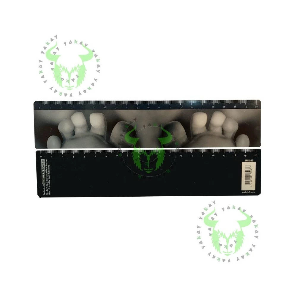 Règle de mesure Drôle de règle - 30 cm en plastique pour école et bureau