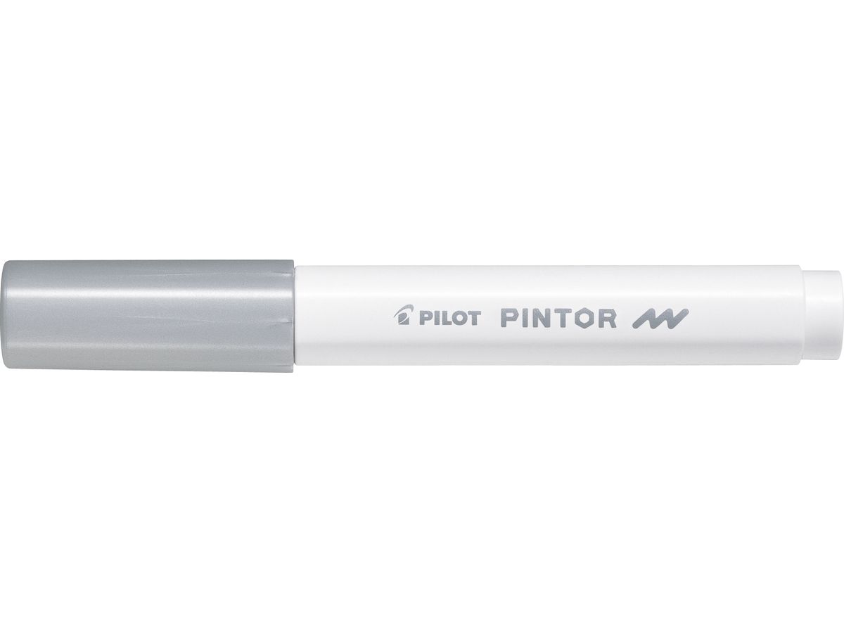 Marqueur Pilot Pintor Argent Métal - Pointe Fine 1,0 mm pour Dessin et Écriture Créative