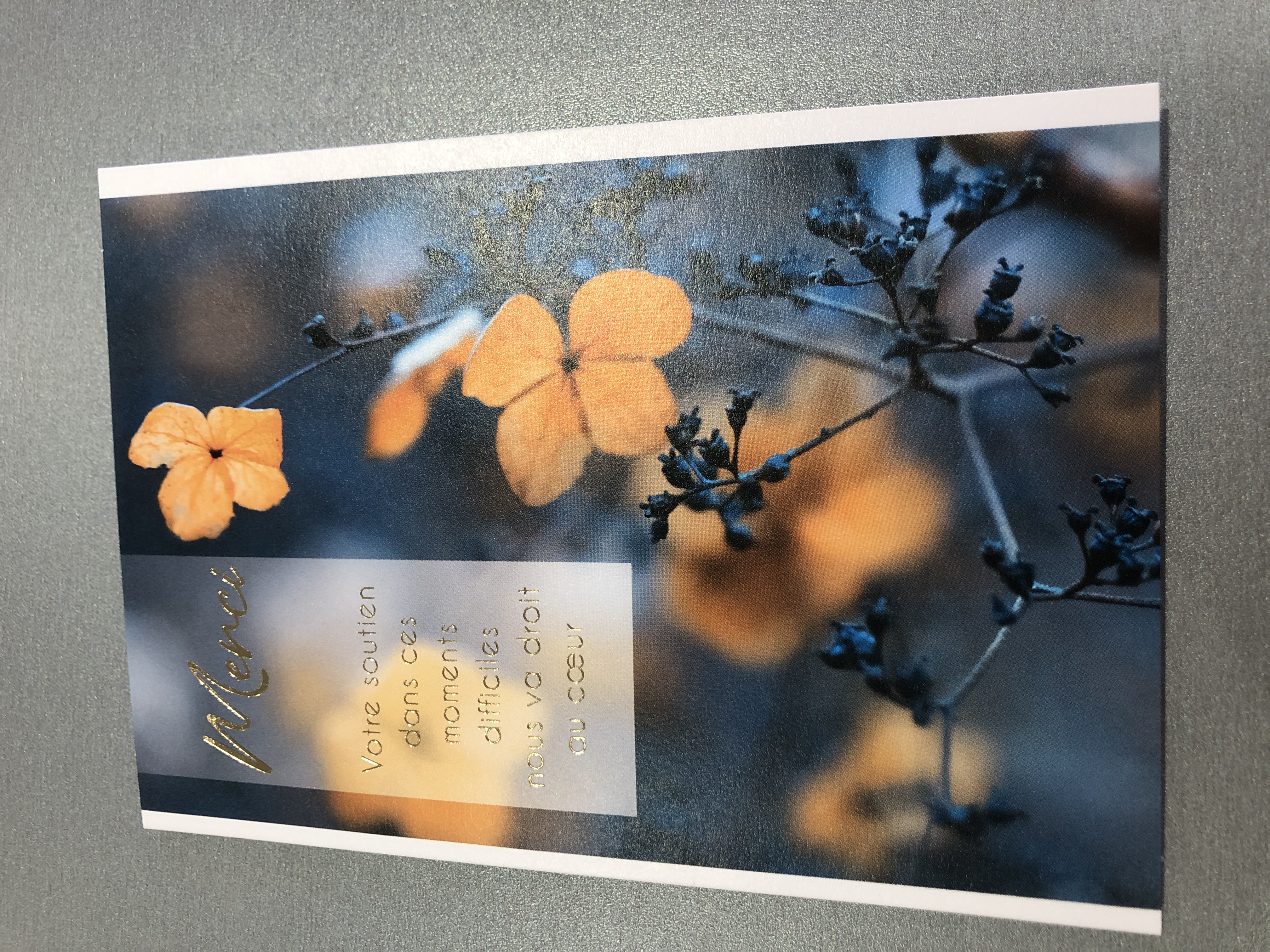 Carte Sincères Condoléances Fleurs - Carte de Vœux Papier pour Messages de Sympathie et Soutien