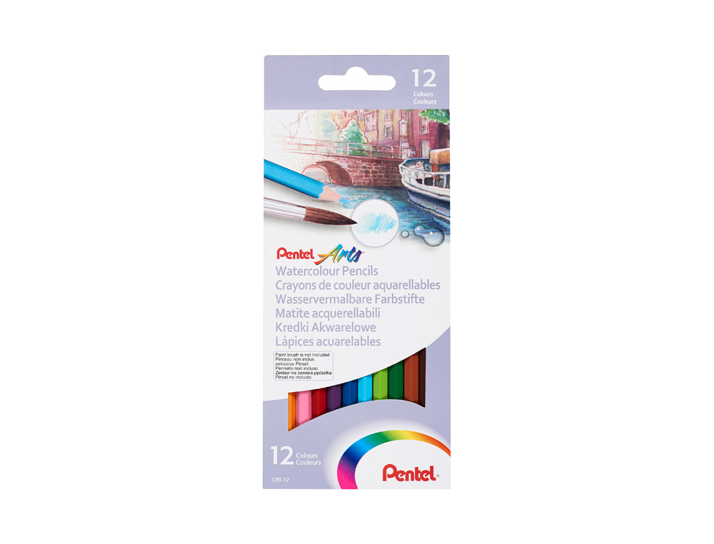 Crayon couleur Pentel Arts aquarellable corps hexagonal bois coloris assortis boîte 12 unités pour dessin et loisirs créatifs