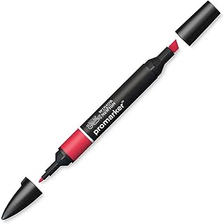 Marqueur Winsor & Newton Promarker R665 Baie Rouge - Double Pointe à Base d'Alcool pour Artistes et Designers