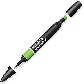 Marqueur Winsor & Newton Promarker G267 Vert Vif - Double Pointe Alcool pour Dessin et Illustration