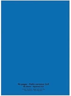 Cahier CONQUERANT 24x32 - 96 pages petits carreaux piqûre 90g Couverture polypropylène bleu pour école