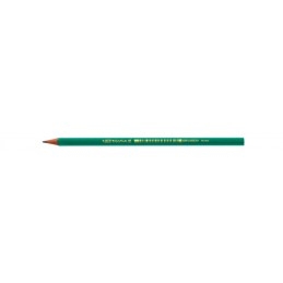 Crayon à papier Bic Evolution ECOlutions 650 - Graphite HB Gris pour dessin et écriture