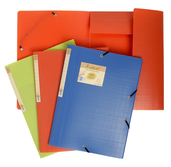 Chemise 3 rabats élastique Exacompta Forever - Polypropylène A4 Assortis pour Organisation Bureau