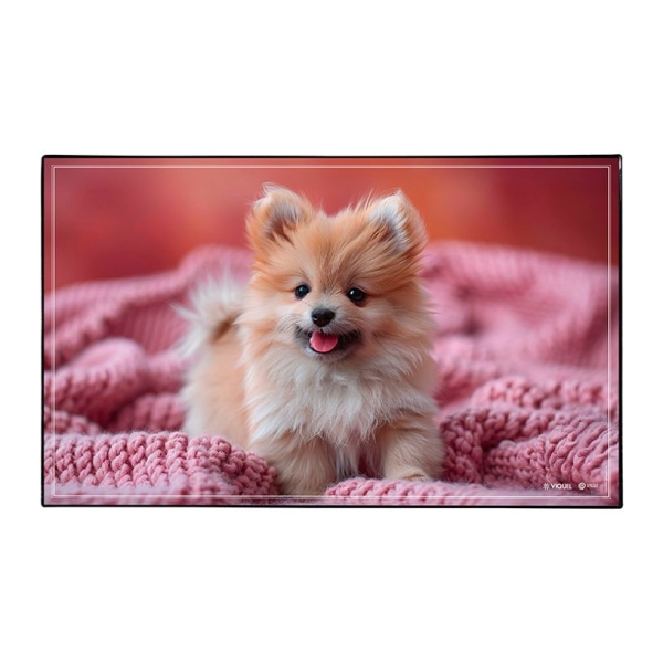 Sous-main fantaisie en PVC - Animaux Chaton Chiot Lapin Chevaux - Protège bureau pour école et bureau