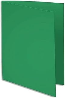 Sous-chemises Exacompta Rock's - 100 pièces, carte 80g, vert sapin, format 220x310mm pour documents
