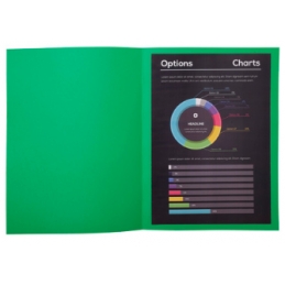 Sous-chemises Exacompta Rock's - 100 pièces, carte 80g, vert sapin, format 220x310mm pour documents