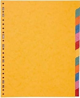 12 IntercalaireS en carte lustrée A4 - Organisation de documents pour bureau et école