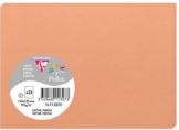 Cartes de correspondance Clairefontaine Pollen Nectar 110x155mm - Lot de 25 pour messages festifs
