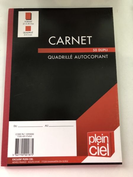 Carnet Plein Ciel 5x5mm 210x297mm A4 - 50 Duplicatas Quadrillé Usage Scolaire et Bureau
