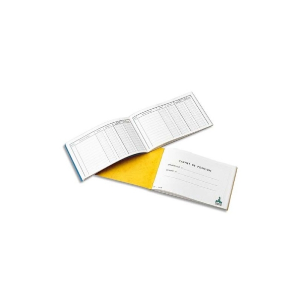 LE DAUPHIN Carnet position de banque 10,7 x 17,3 cm 48 pages
