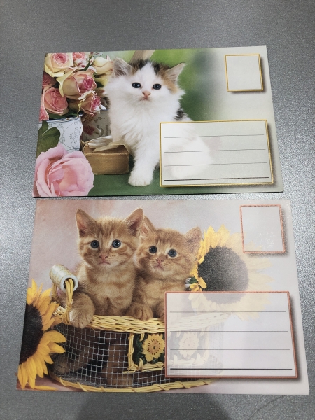 Enveloppes As de coeur Chat 11x16 cm - Papier de qualité - Pour correspondance personnelle et professionnelle