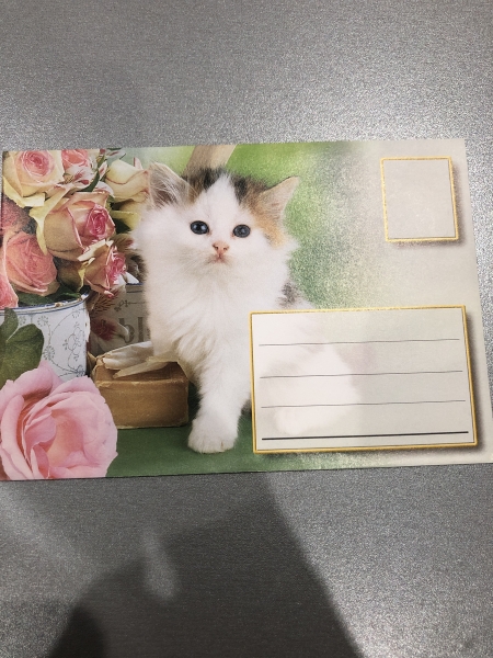 Enveloppes As de coeur Chat 11x16 cm - Papier de qualité - Pour correspondance personnelle et professionnelle