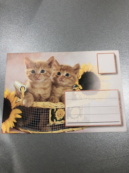 Enveloppes As de coeur Chat 11x16 cm - Papier de qualité - Pour correspondance personnelle et professionnelle