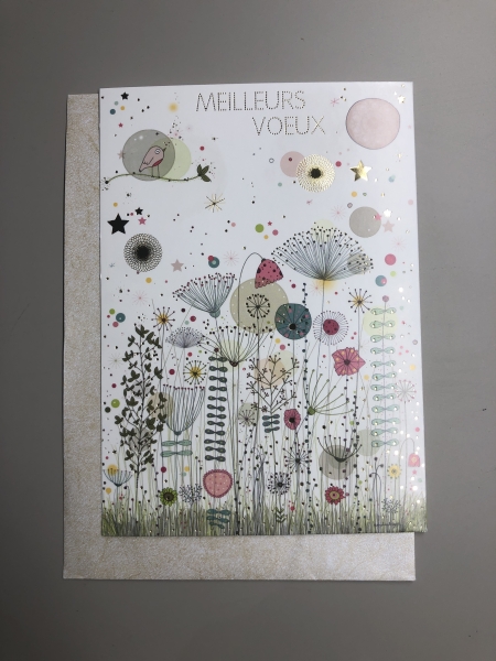 Carte postale CARTES D'ART 