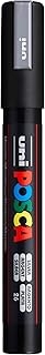 Marqueur à pigment Posca PC-5M RR - Argent Moyen 1.8/2.5mm pour Art et Design
