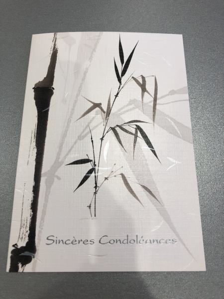 Carte Condoléances Bambous Sincères - Carte de Vœux Papier pour Messages de Sympathie et Soutien