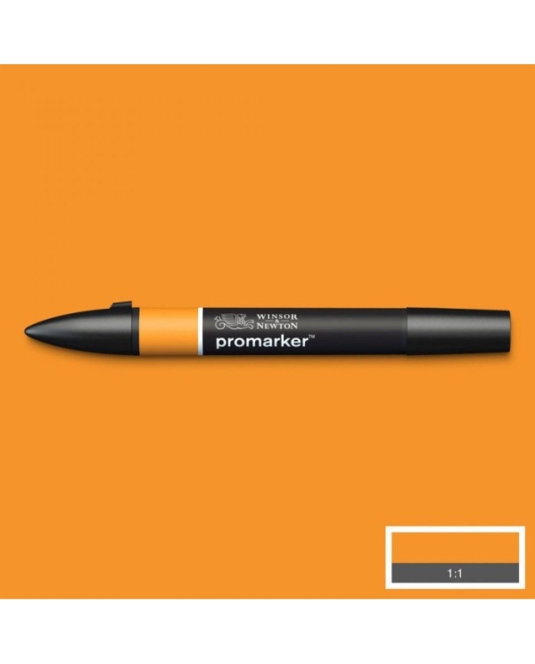 Marqueur Winsor & Newton Promarker O567 Ambre - Double Pointe Fine et Large pour Dessin et Illustration